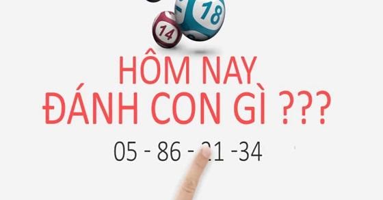 Hôm nay đánh con gì